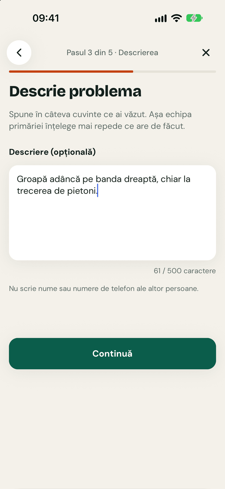 Pasul 3: descrierea scurtă a problemei.